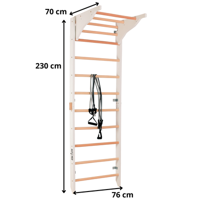 Sprossenwand mit Klimmzugstange & Dip-Barren – PRO PURE – weitere Produktansicht 2 – RINAGYM